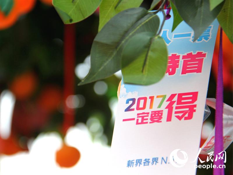 成功挂在许愿树上的宝牒，写有“2017一定要得”的政改宣传口号（摄影：陈瑶）