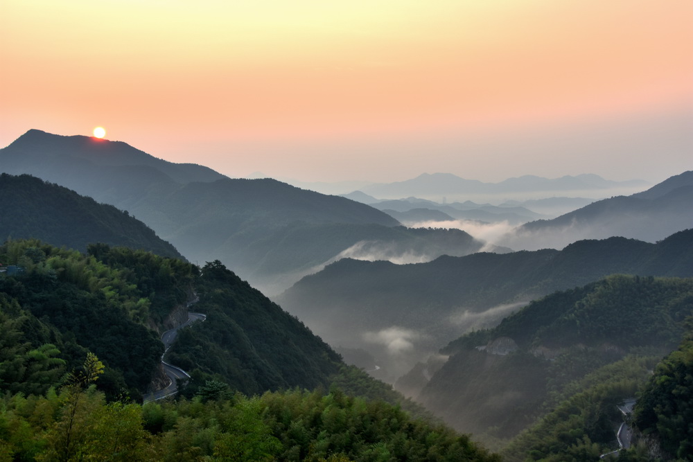 浙江宁海:大山深处榧香阵阵