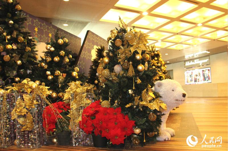 ʱ���㳡��ǰ��ʥ���������һֻ�������ܡ����ƺ�Ϊ��ů����۱�����ңԶ������ѩ������Ӱ������ࣩ