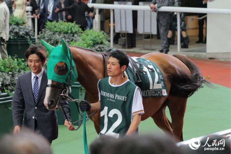 4、赛事吸引了来自世界各地的马匹参赛，图中为来自日本的赛马。（摄影：郭晓桐）