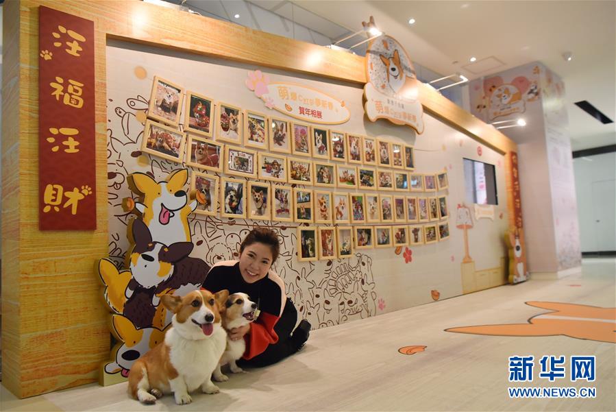 1月24日，一名市民携爱犬在一家商场的布景前合影。