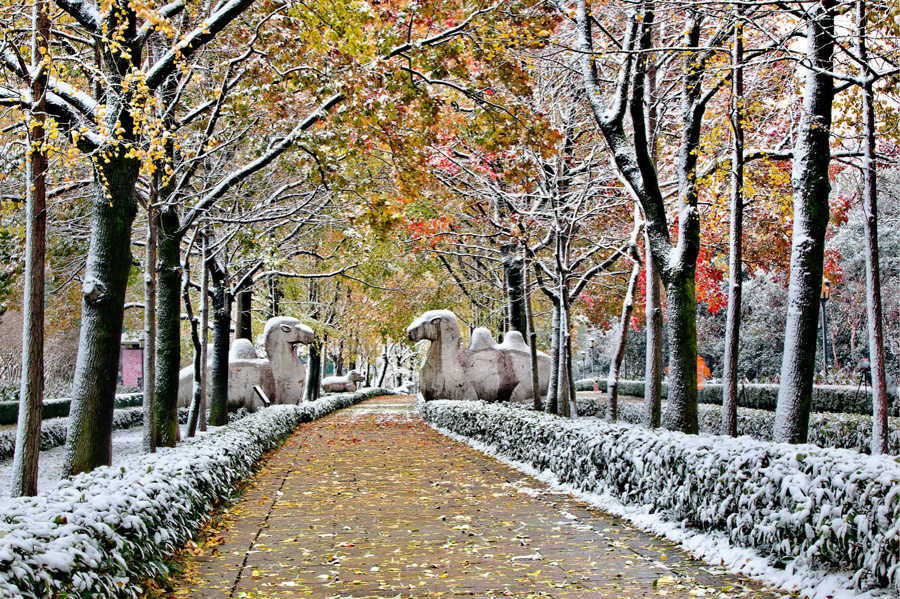  4. Autumn Snow of the Ancient Shinto - Qu Lanning