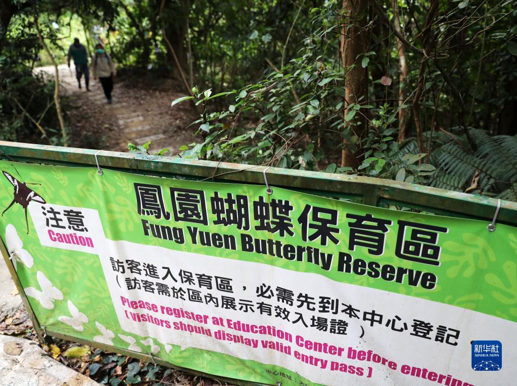 　　凤园蝴蝶保育区（1月14日摄）。新华社记者 李钢 摄
