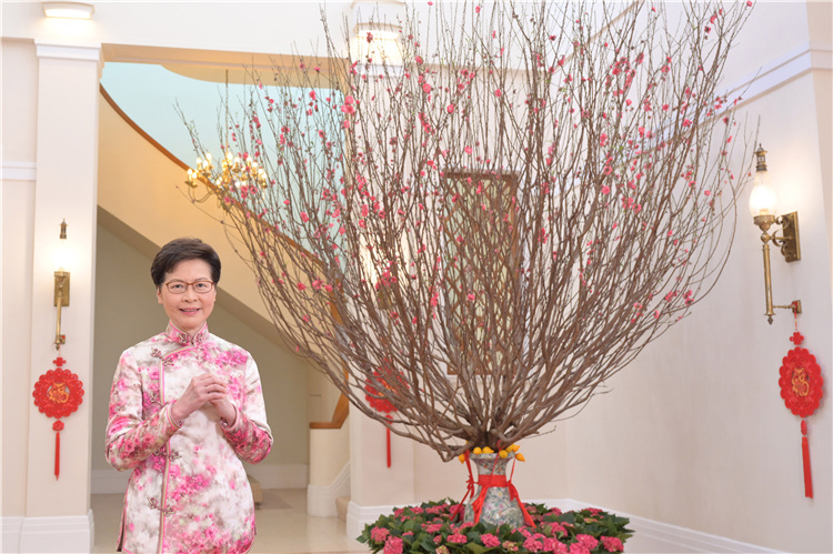 香港特区行政长官林郑月娥发表农历新年贺辞。特区政府新闻处供图