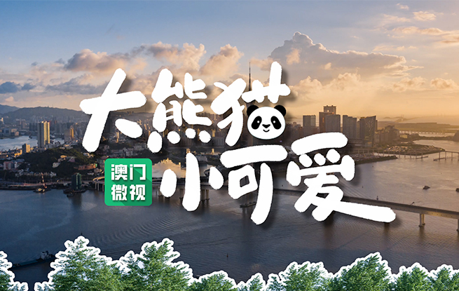 大熊猫家族在澳门 开心健康每一天