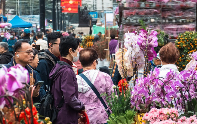 香港年宵花开 喜迎马年新春