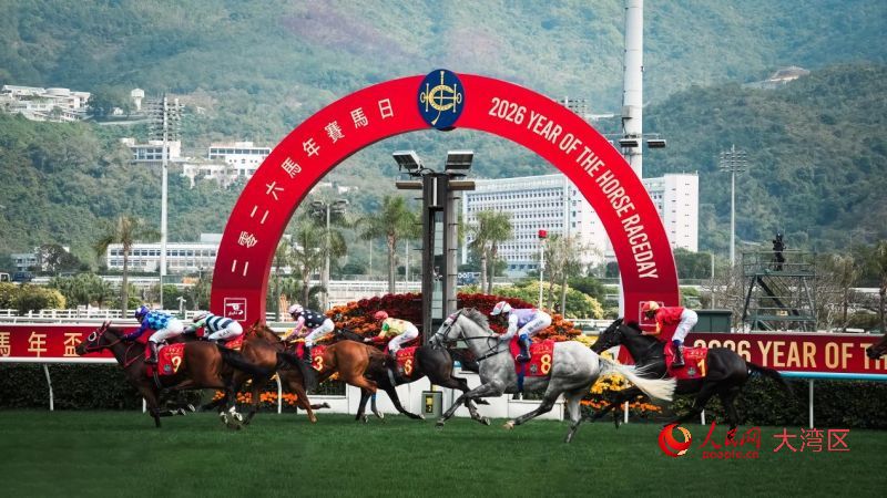 当日11场赛事先后精彩上演,此为焦点赛事“马年杯”。人民网 吴宇扬扬摄