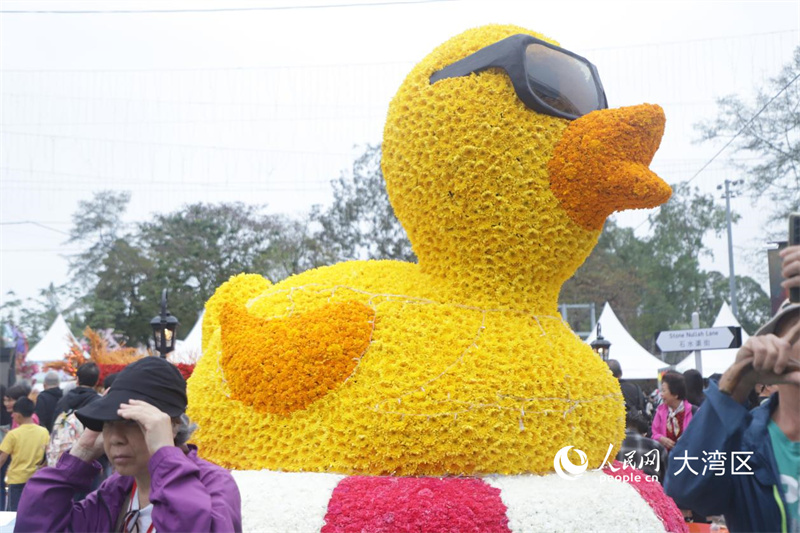 造型独特的花卉展品。人民网实习生向芷菡 摄