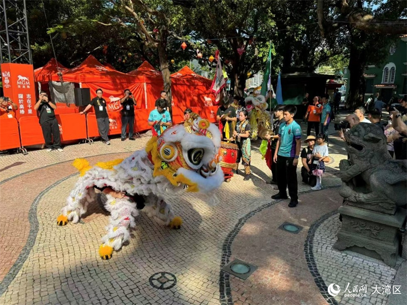 图为澳门妈阁庙门前的石狮与舞狮各展风采。人民网记者 富子梅摄
