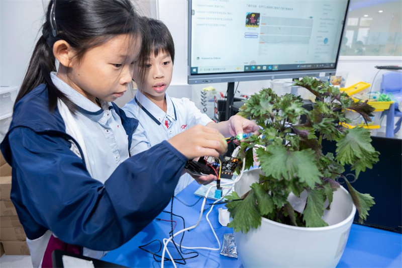 学生参与体验活动。主办方供图