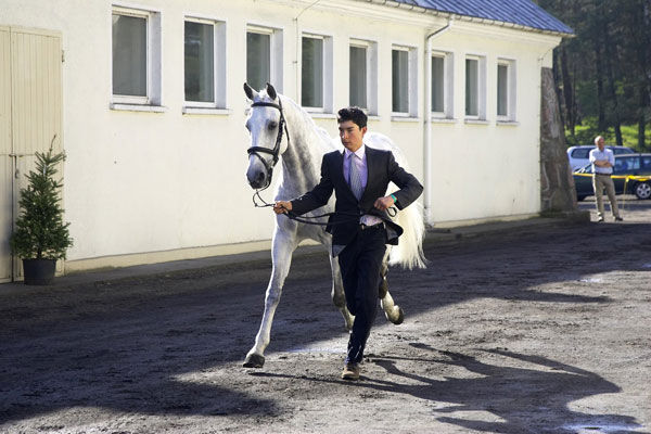 马术小将华天挑战宣言 每一个人都想成为刘翔