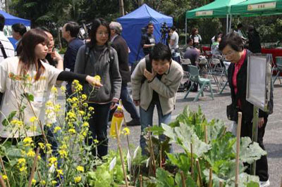 香港街市有机蔬菜售卖混乱 选购需认准认证标
