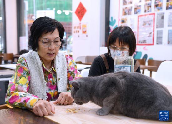   1月15日，宋罗孟君（左）与女子宋萃媛邪在任务浑闲给宠物猫喂食。新华网忘者 鲜铎 摄