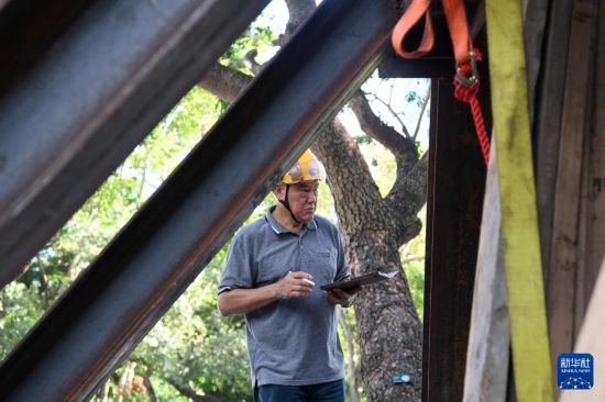 10月14日，香港古树管理专家林妙成在九龙公园勘察大叶合欢古树的情况。新华社记者 陈铎 摄